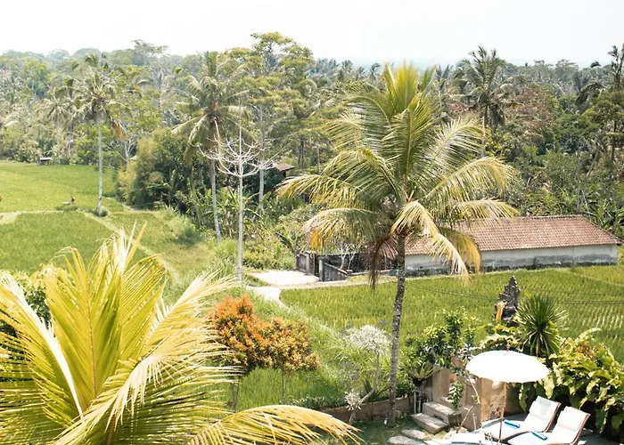 The Nenggala